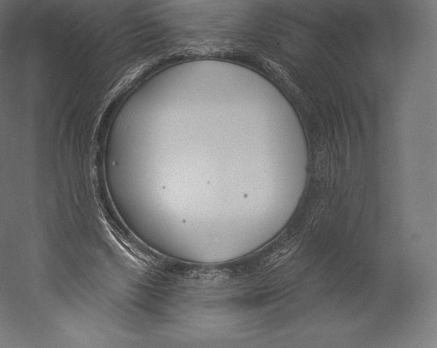 X0000060240443200511241338
