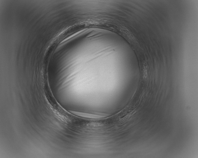 X0000060240444200511241338