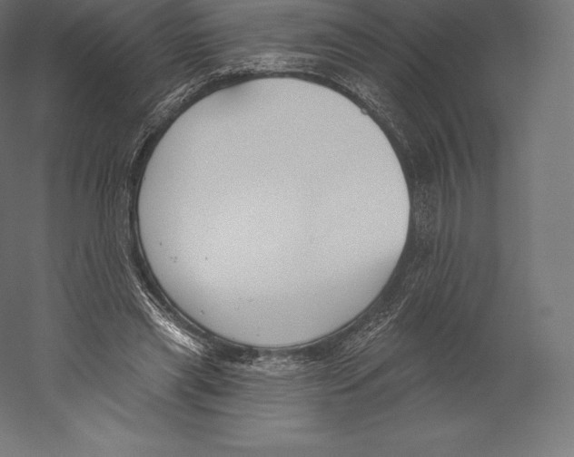 X0000060240445200511241338