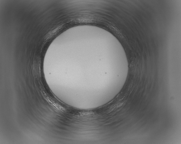 X0000060240446200511241338