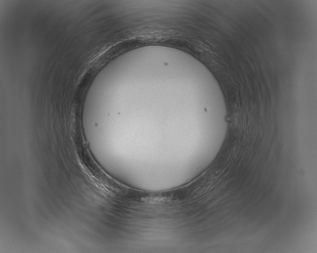 X0000060240448200511241338