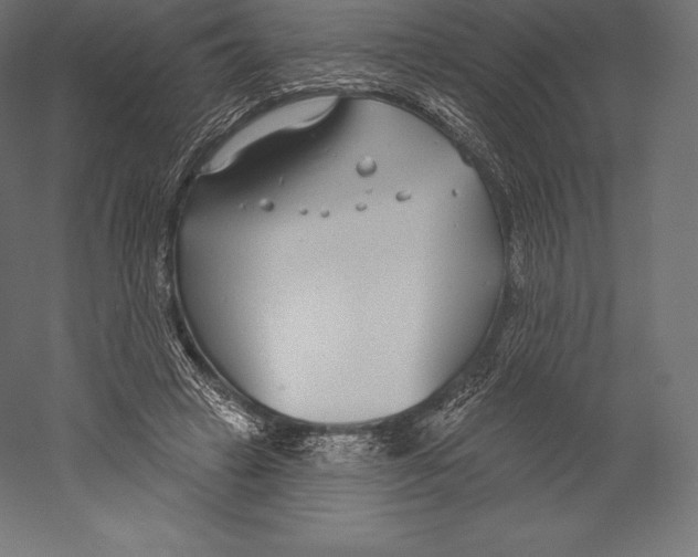 X0000060240449200511241338
