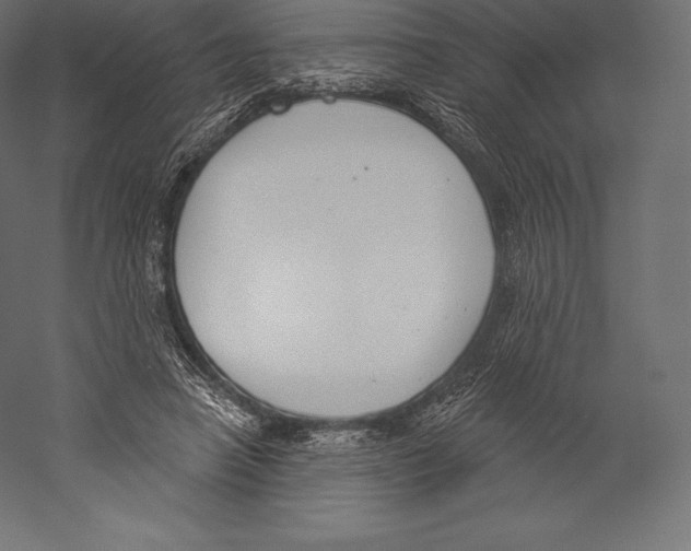 X0000060240450200511241338