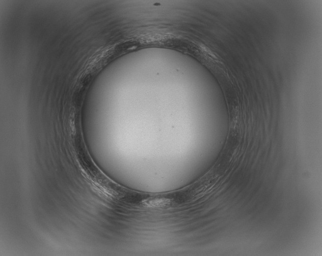 X0000060240452200511241338