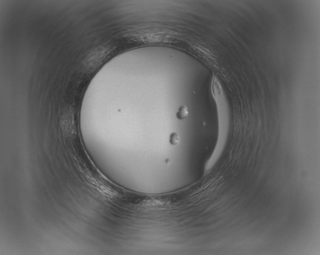 X0000060240453200511241338