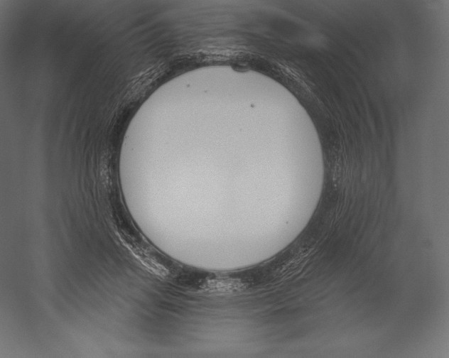 X0000060240455200511241338