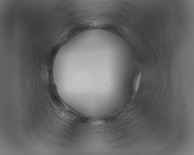 X0000060240456200511241338