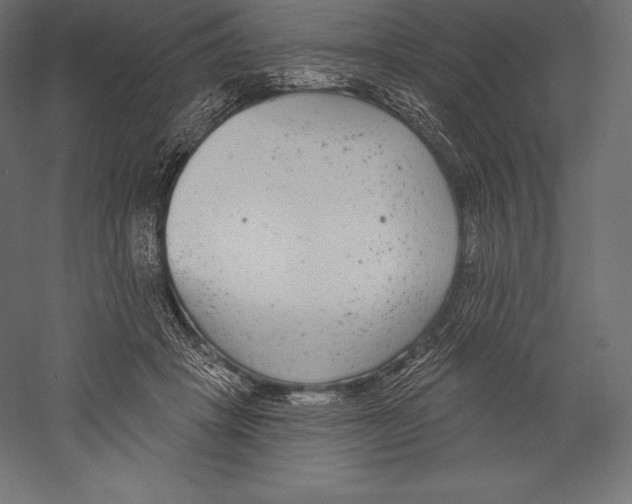 X0000060240457200511241338