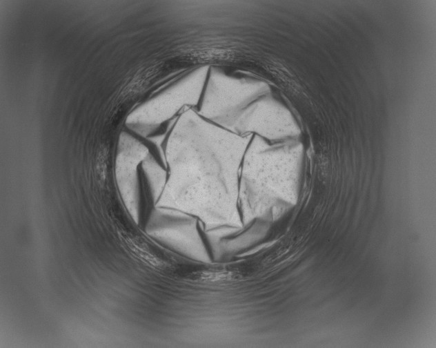 X0000060240458200511241338