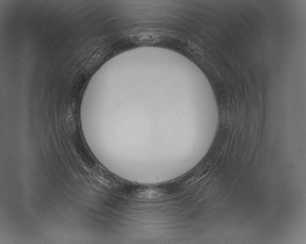 X0000060240460200511241338