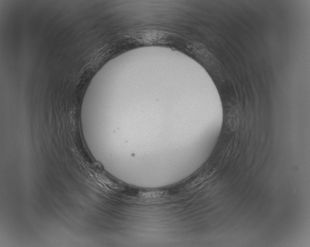 X0000060240461200511241338