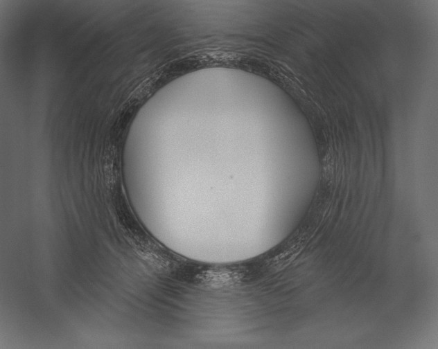 X0000060240464200511241338