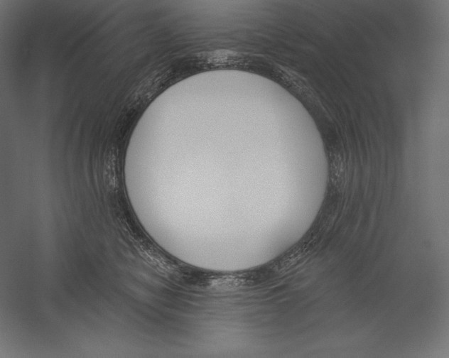 X0000060240470200511241338