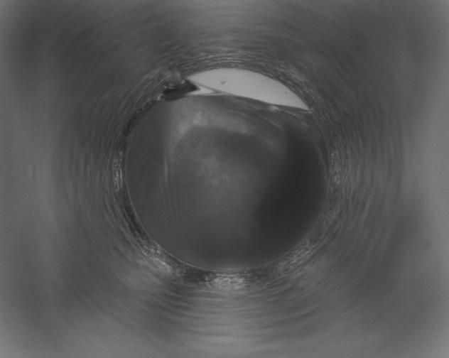 X0000060240471200511241338