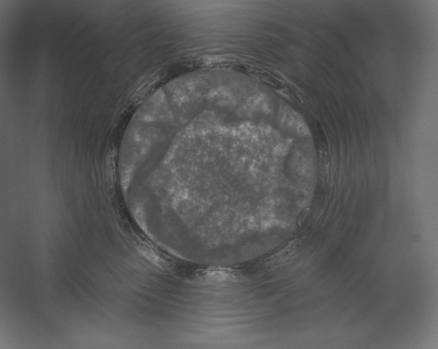 X0000060240475200511241338
