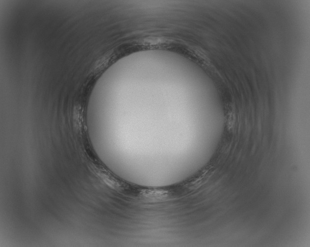 X0000060240476200511241338