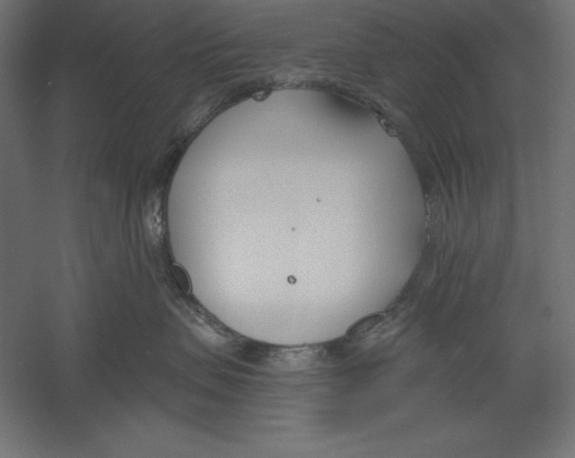 X0000060240479200511241338