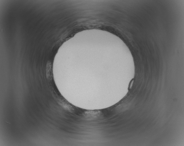 X0000060240480200511241338