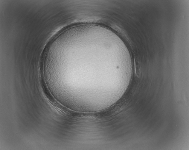 X0000060240483200511241337