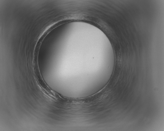 X0000060240484200511241337