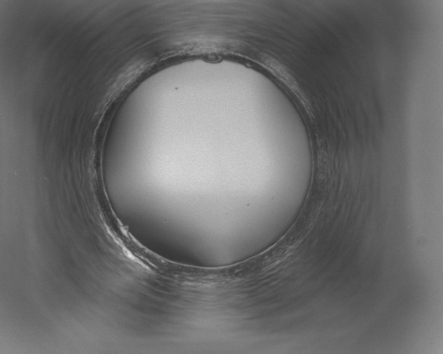 X0000060240485200511241337