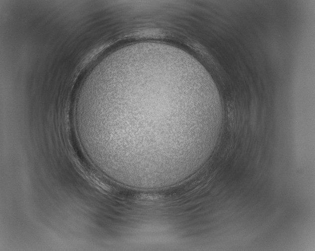 X0000060240487200511241337