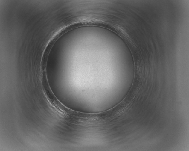 X0000060240488200511241337