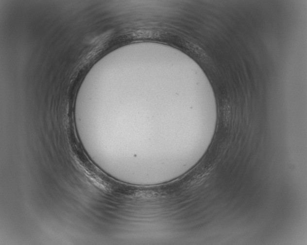 X0000060240490200511241337