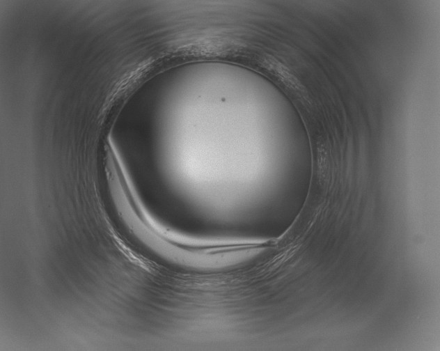 X0000060240493200511241337