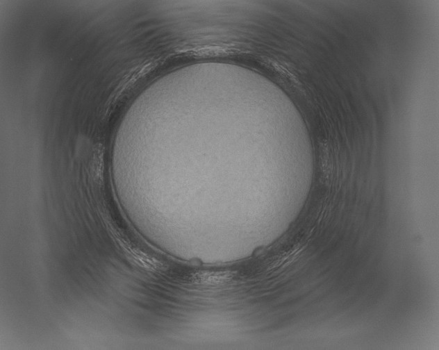 X0000060240495200511241337