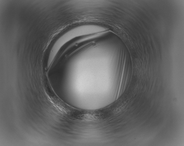 X0000060240496200511241337