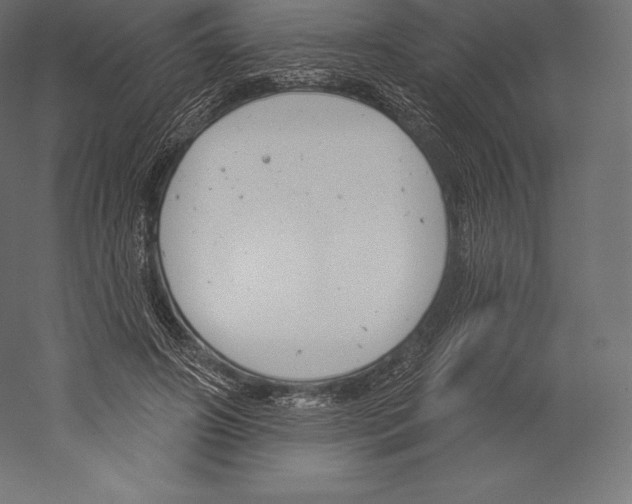 X0000060240498200511241337