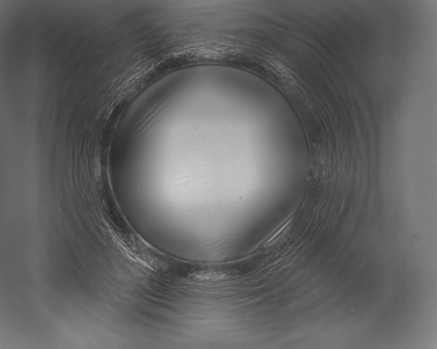 X0000060240500200511241337
