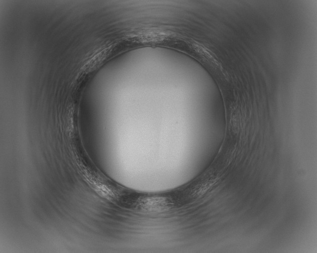 X0000060240501200511241337