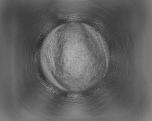 X0000060240503200511241337