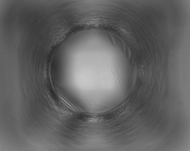 X0000060240504200511241337