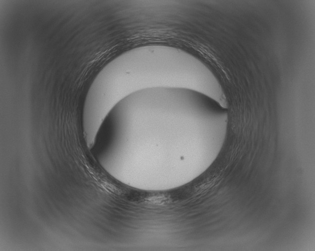 X0000060240505200511241337