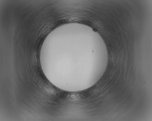 X0000060240506200511241337