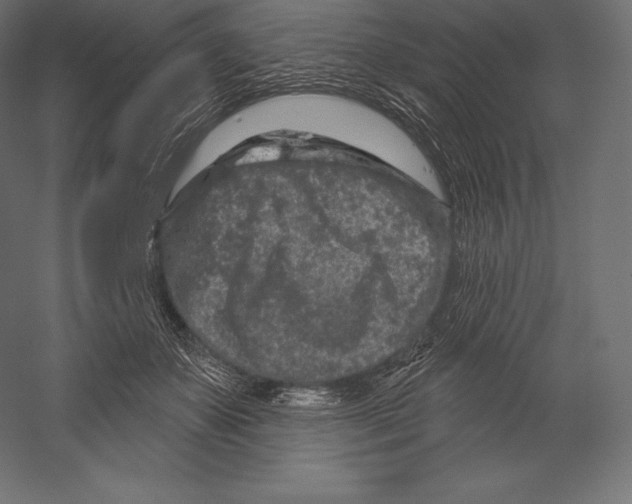 X0000060240507200511241337