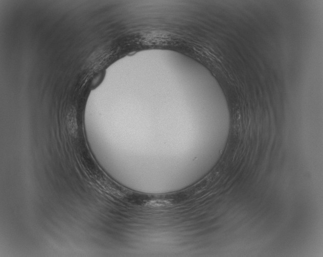 X0000060240508200511241337