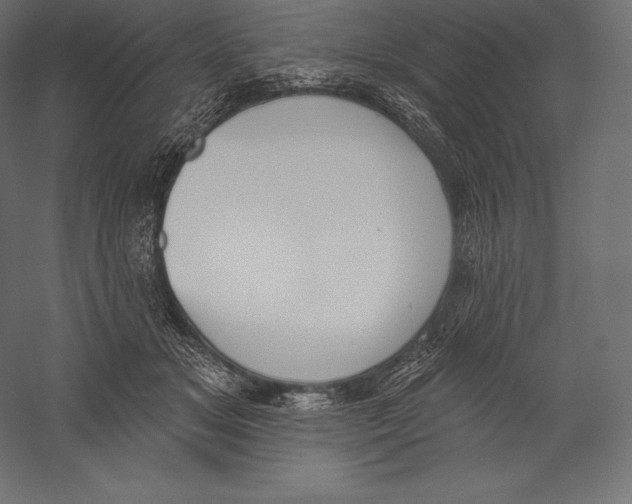 X0000060240509200511241337