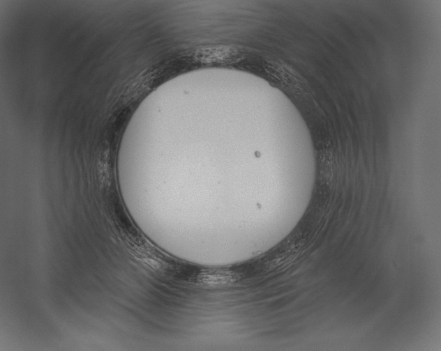 X0000060240510200511241337