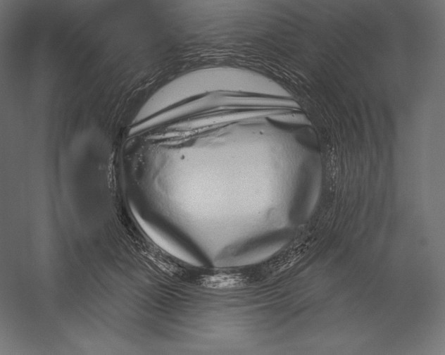 X0000060240511200511241337