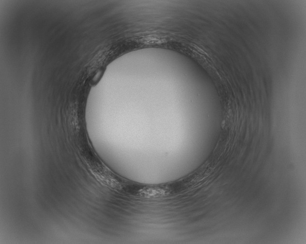 X0000060240512200511241337