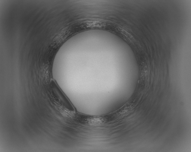 X0000060240513200511241337