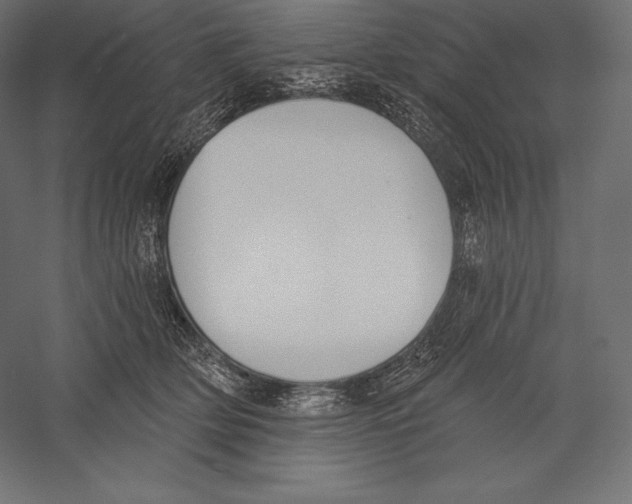 X0000060240514200511241337