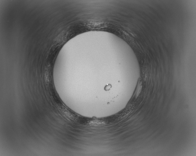 X0000060240515200511241337