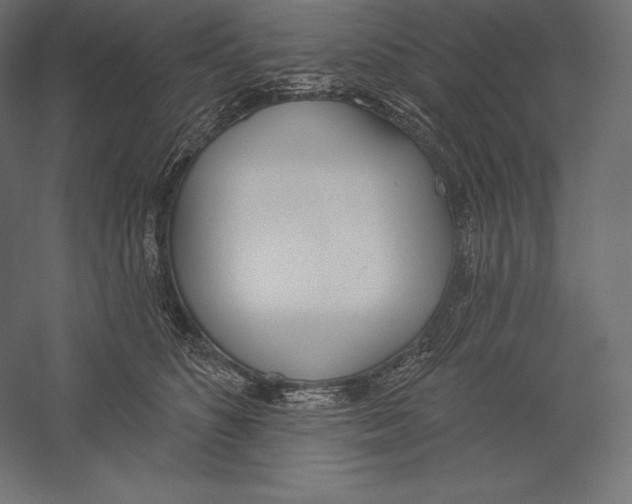 X0000060240516200511241337