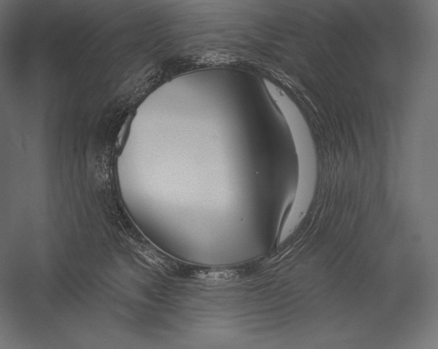 X0000060240517200511241337
