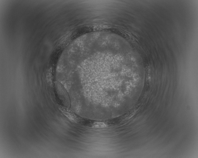 X0000060240519200511241337